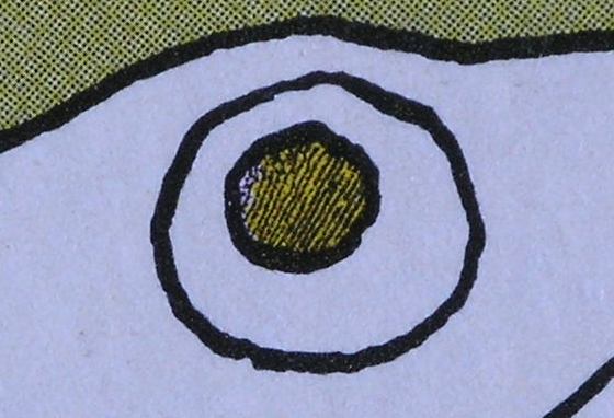 [Turtle+Eye+2.JPG]
