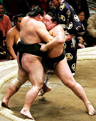 [sumo+wrestling+fake.png]