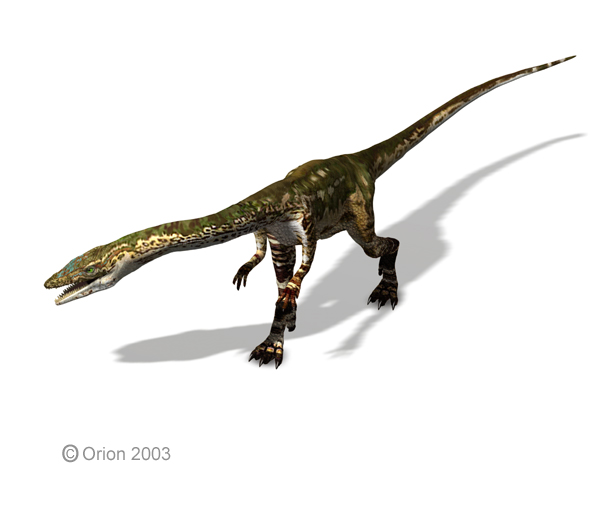 [Podokesaurus.jpg]