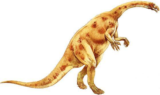 [plateosaurus.jpg]