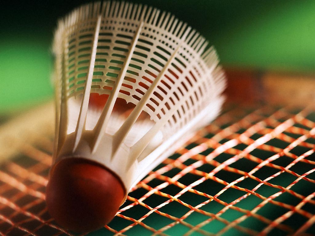 [Badminton.jpg]