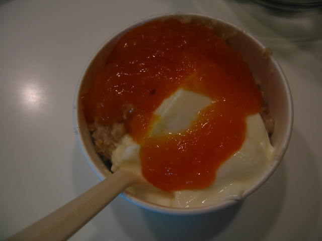 [Oatmeal-Yogurt+with+Apricot+Puree.JPG]