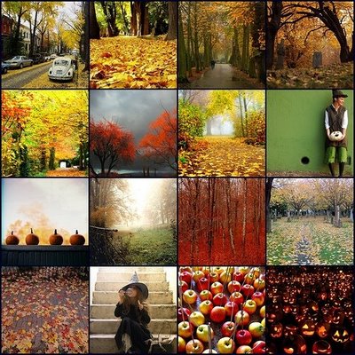 [Fall+pictures.jpg]