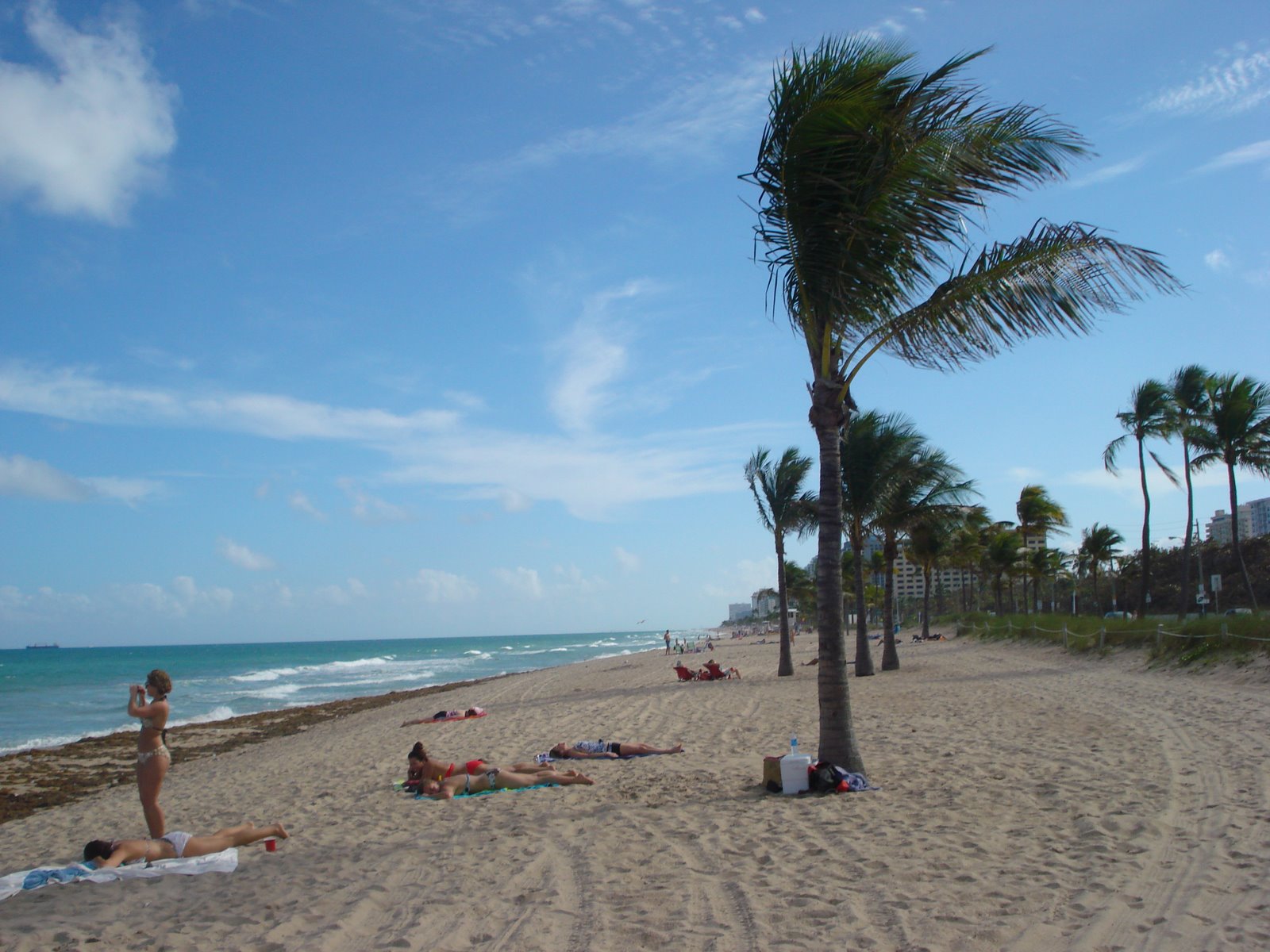 [Beach+in+Ft.+Lauderdale+012.jpg]