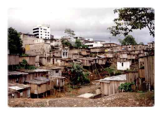 [favelas.jpg]