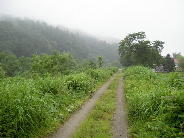 [2008-07-04+Trail.jpg]