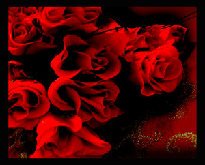[red_roses_5_by_y2jabba.jpg]