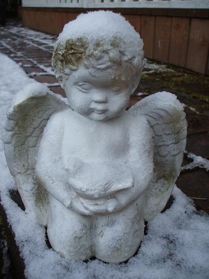 [snow+angel+1.JPG]