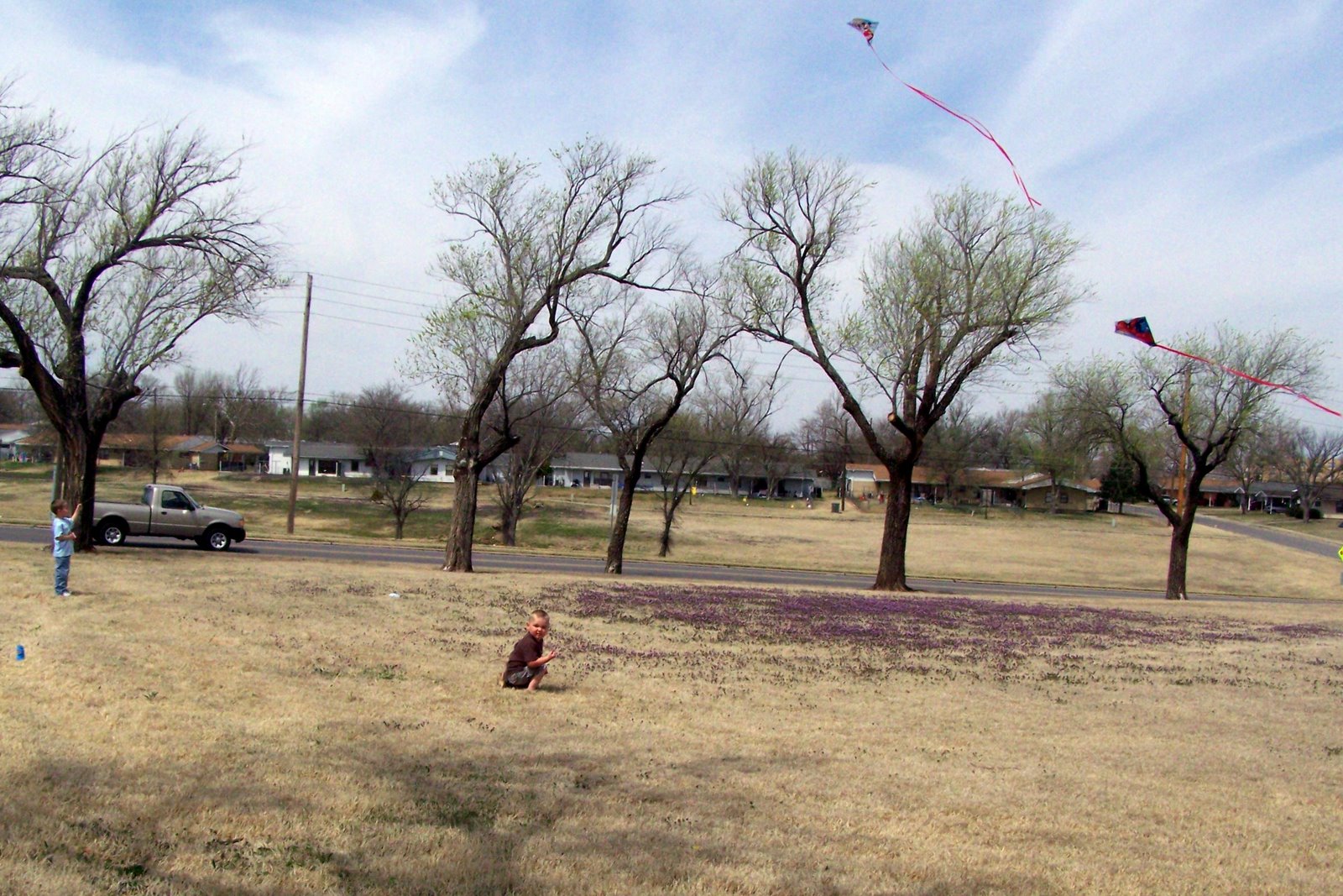 [kites.jpg]