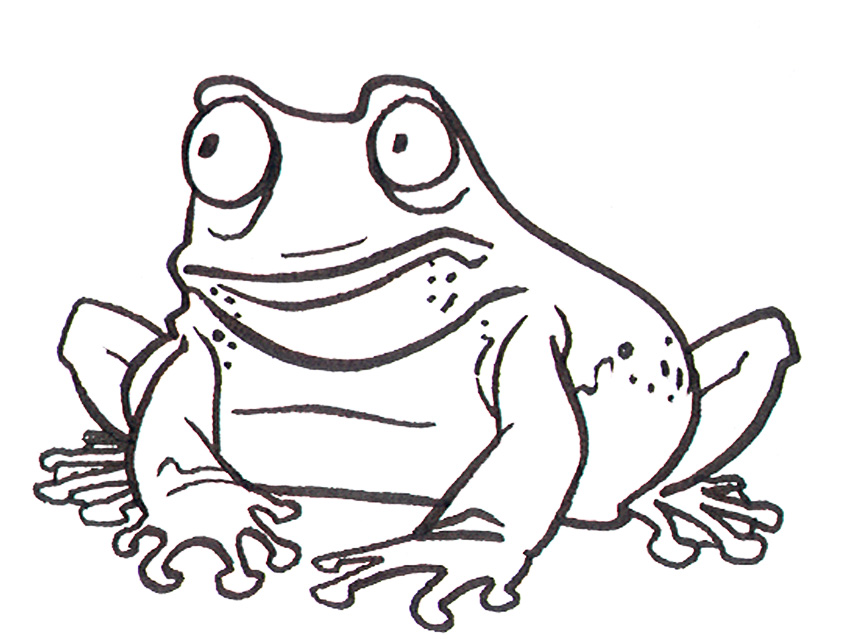 [frog.jpg]