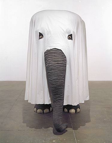 [shrouded+elephant.jpg]