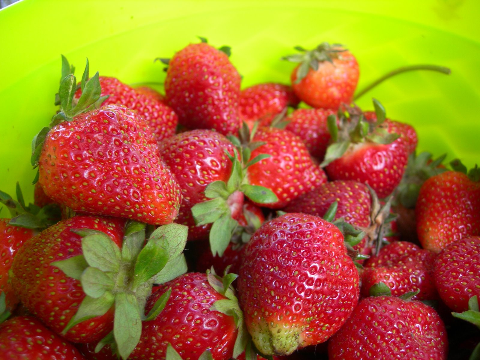 [Strawberries.JPG]