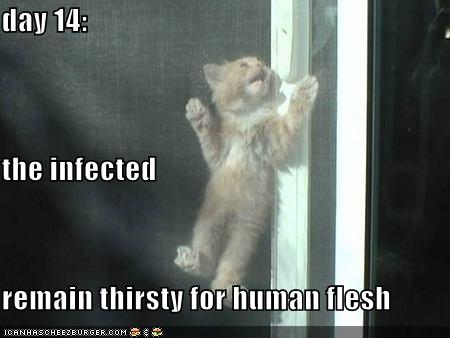 [funny-pictures-infected-cat-thirsty-for-human-flesh.jpg]