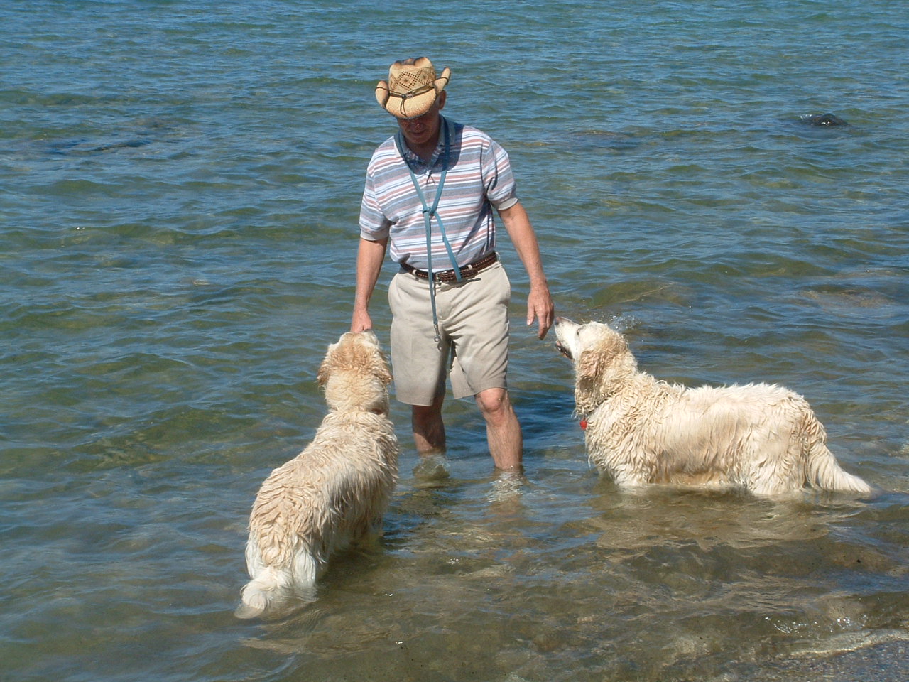 [Dan+and+dogs++in+water.jpg]