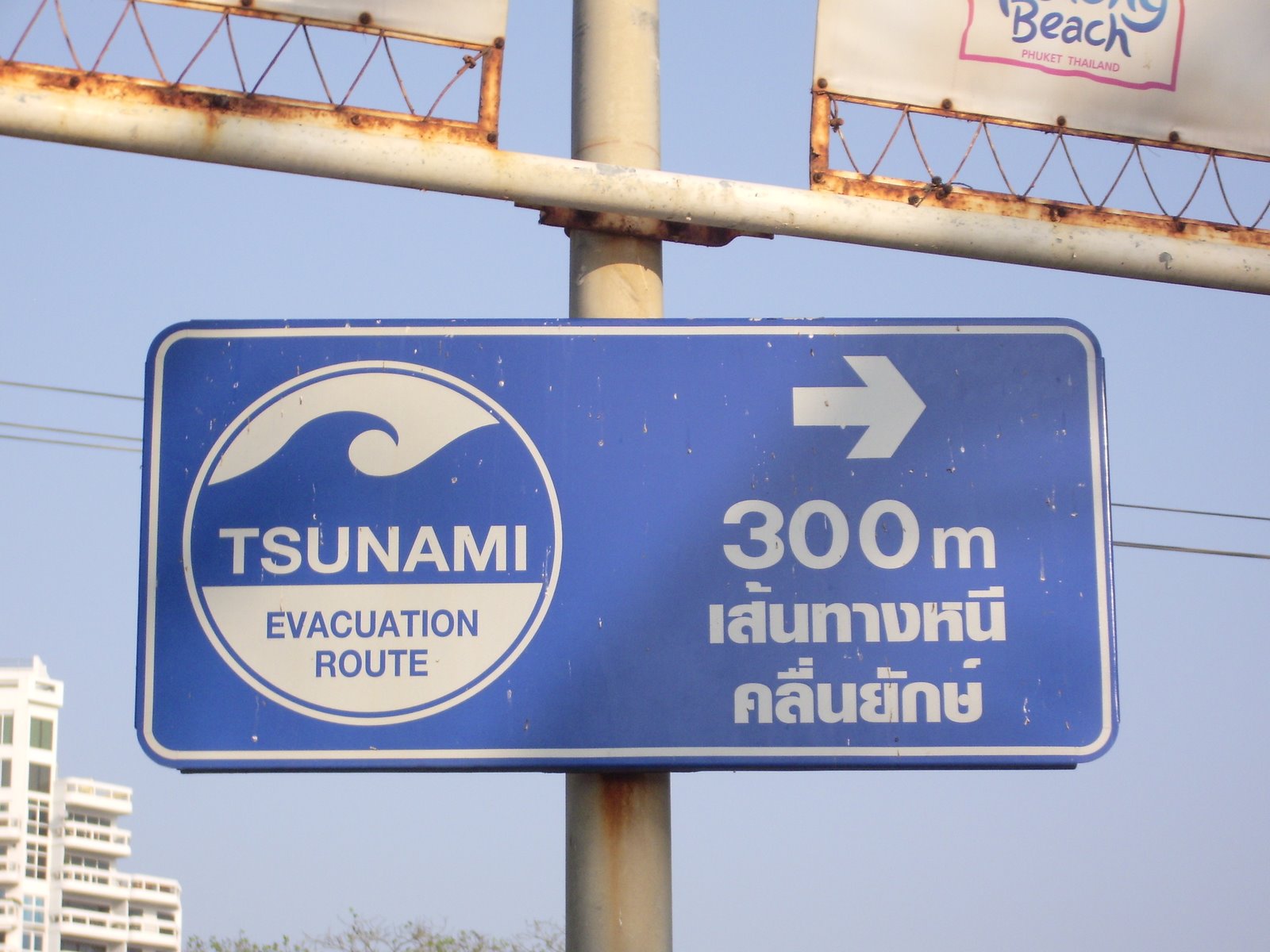[tsunami.JPG]