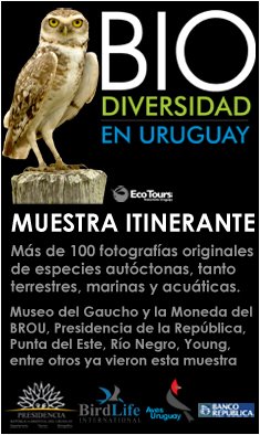 Muestra itinerante Biodiversidad en Uruguay