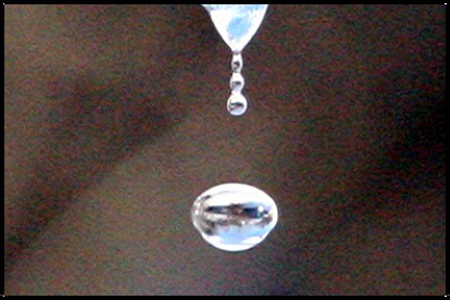 [dripping+icicle+210207.jpg]
