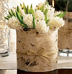 [birch+vase-758655.gif]