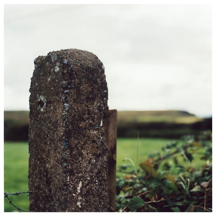 [fence+post+(dingle)+low+res.jpg]