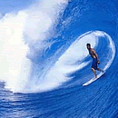 [Surfing1.gif]