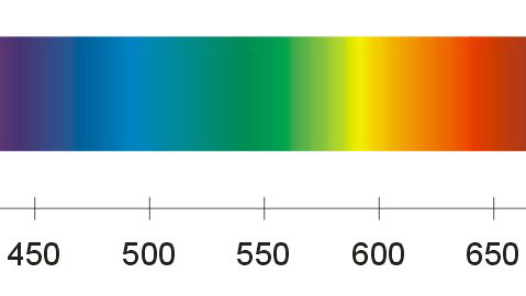 [visible+spectrum+450-650+nm.jpg]