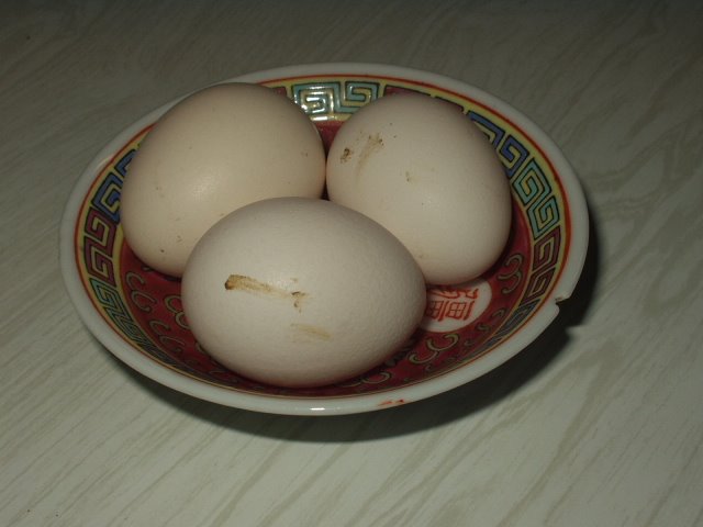[Bantam+eggs.JPG]