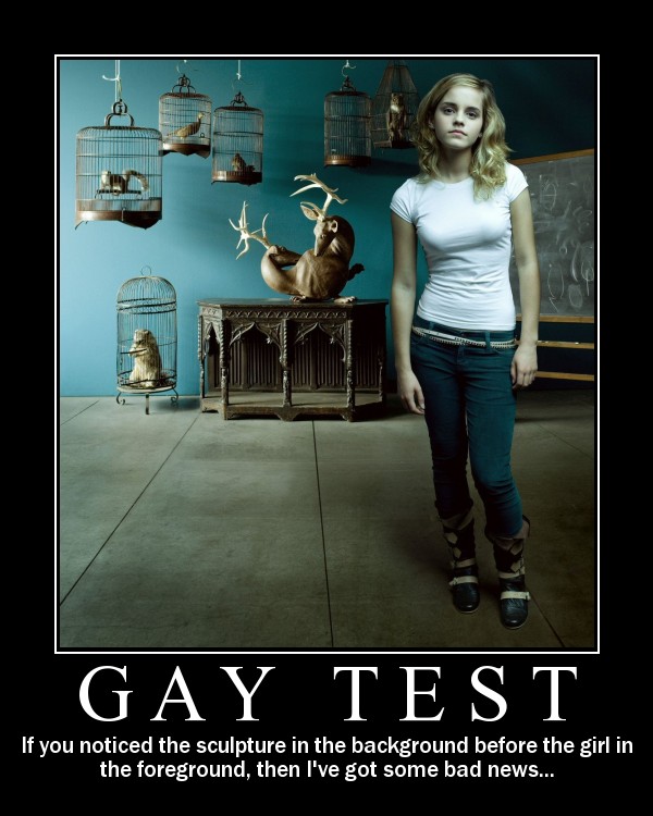 [gay_test.jpg]