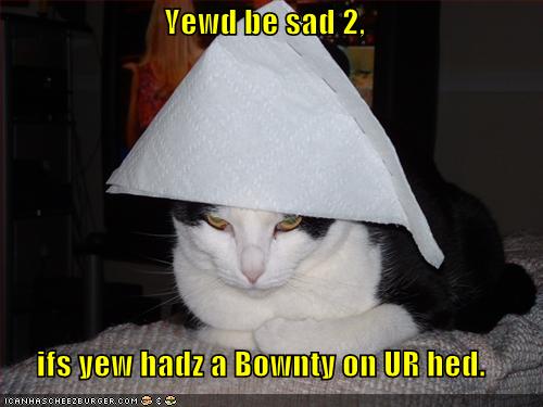 [funny-pictures-sad-cat-bounty-on-head.jpg]