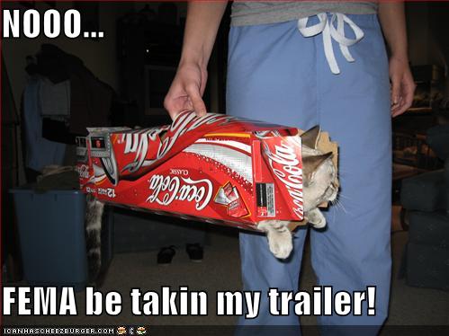 [funny-pictures-fema-takes-cats-trailer.jpg]