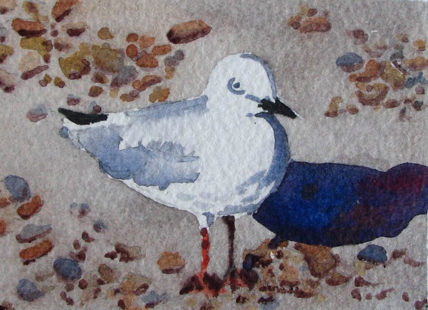 [193-Mini-Painting+36+(Seagull).jpg]