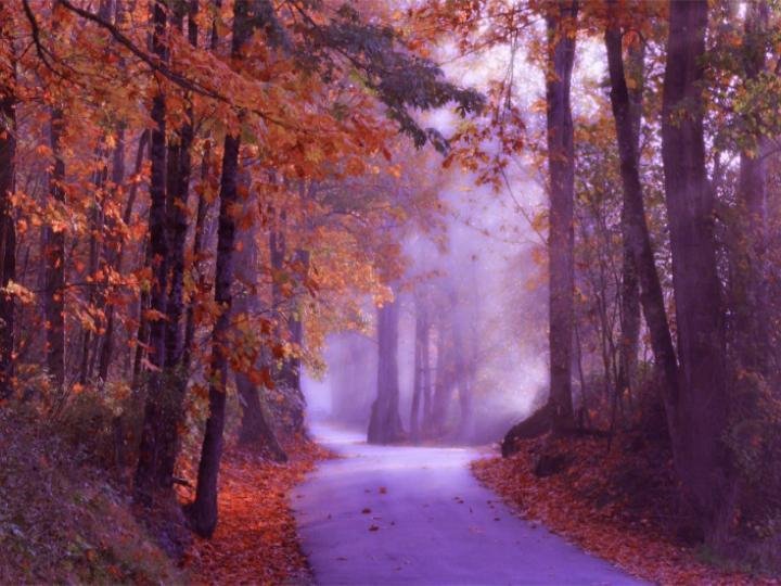 [Autumn+Road.bmp]