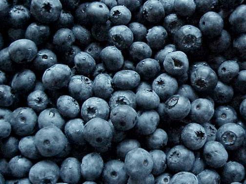 [blueberries1.jpg]