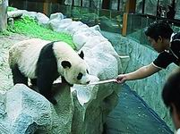 [Chiang-Mai-Zoo.jpg]