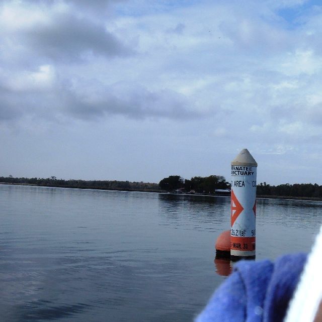 [2007+11+29+51+sanctuary+buoy,+Kings+Bay,+Crystal+River+Florida+001+(58).jpg]