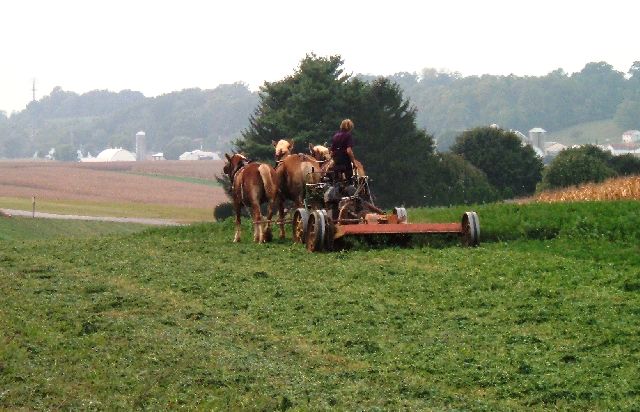 [2007+09+27+Amish+Mowing,+Kinzer,+PA.jpg]