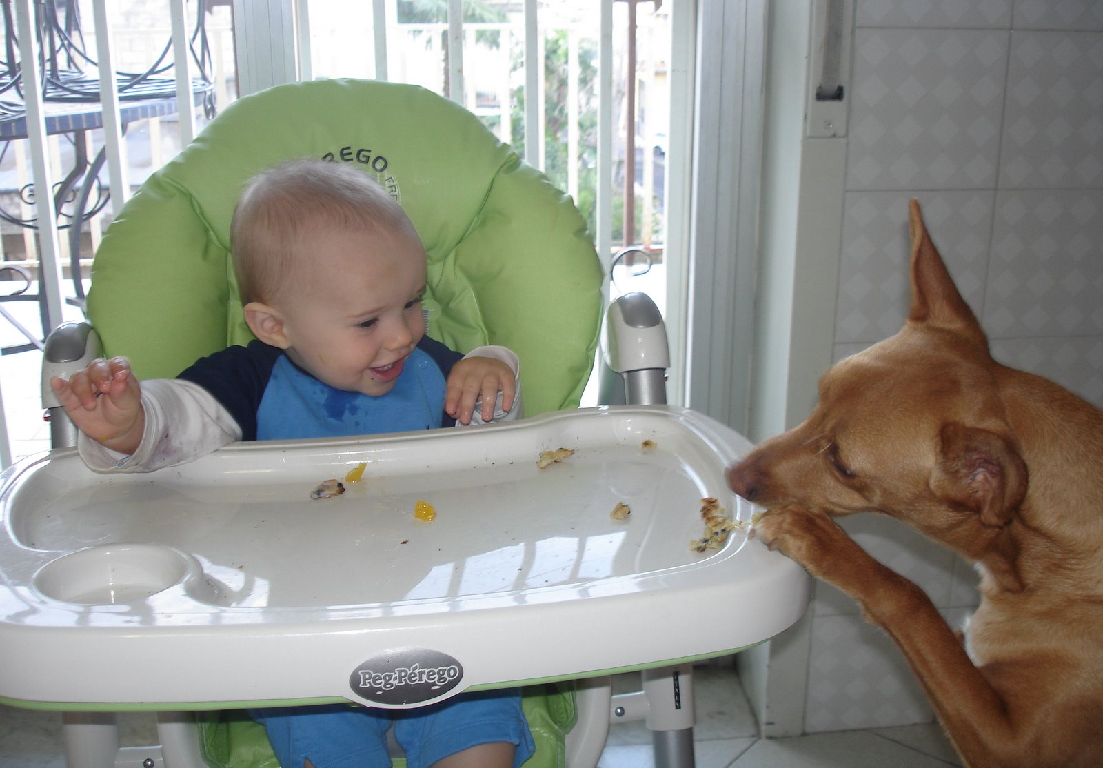[paolo+eating+off+highchair.jpg]