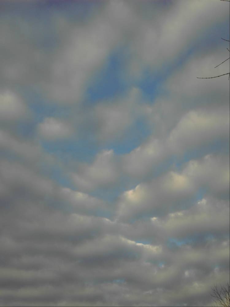 [clouds+004.jpg]