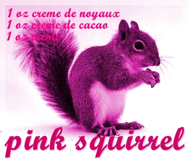 [pink+squirrel+recipe.jpg]