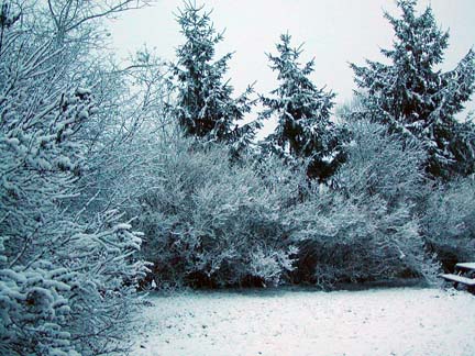 [backyard+in+snow.jpg]