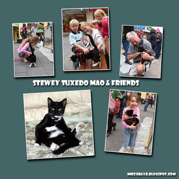 [Stewey+&+Friends.jpg]