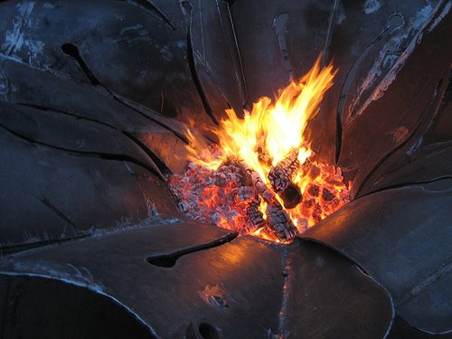 [fire+bloom.jpg]