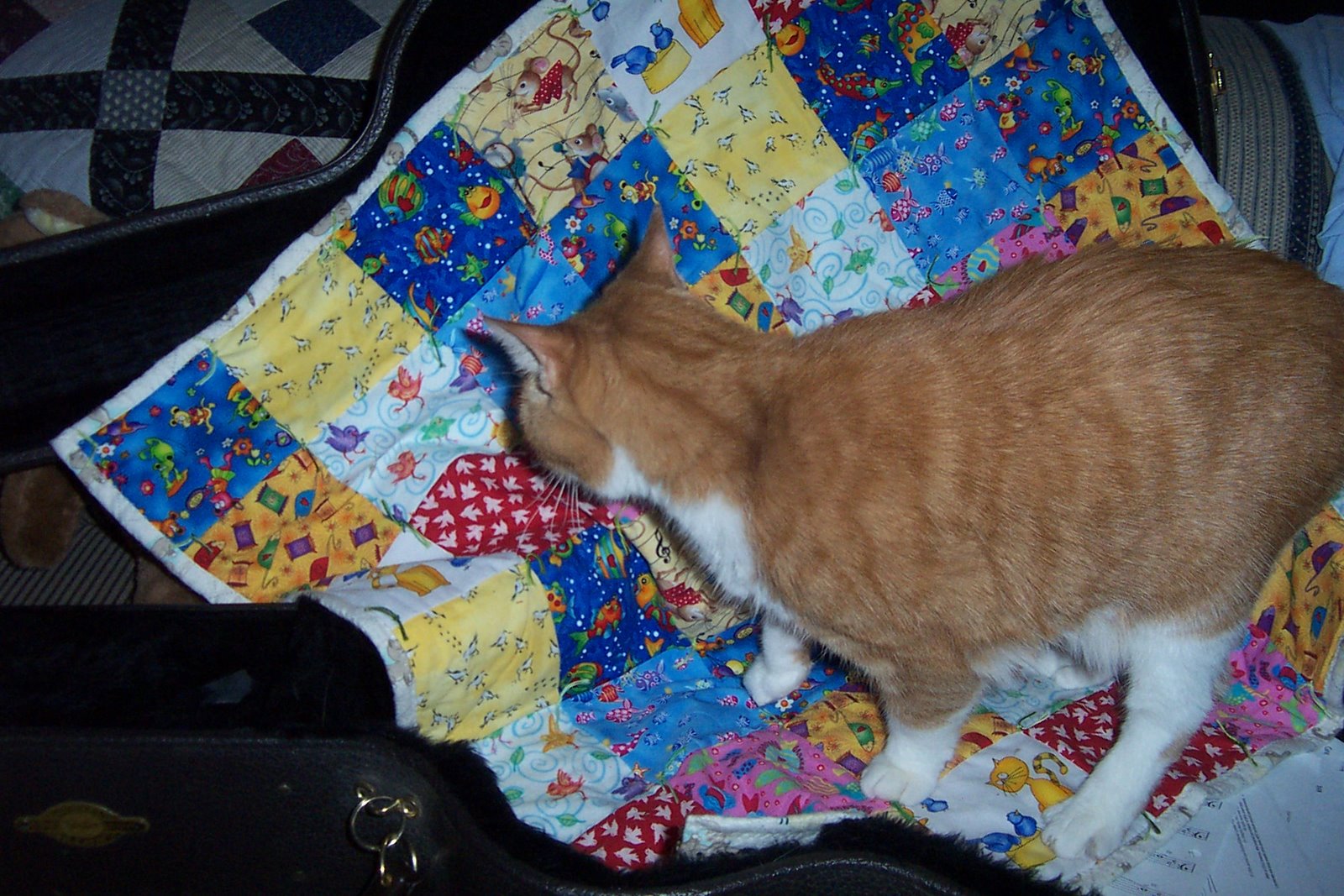 [Sherman+with+quilt_2368.JPG]