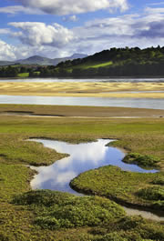 [conwy+rspb+images.jpg]