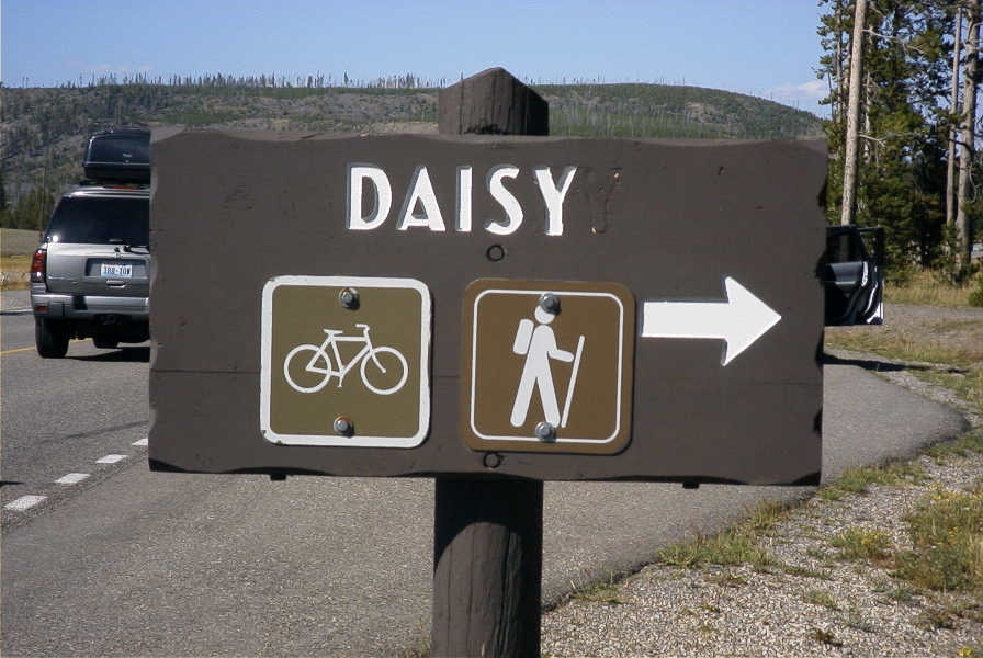 [daisy.jpg]