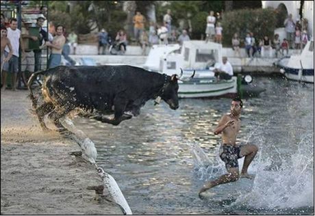[walk-on-water-bull.jpg]