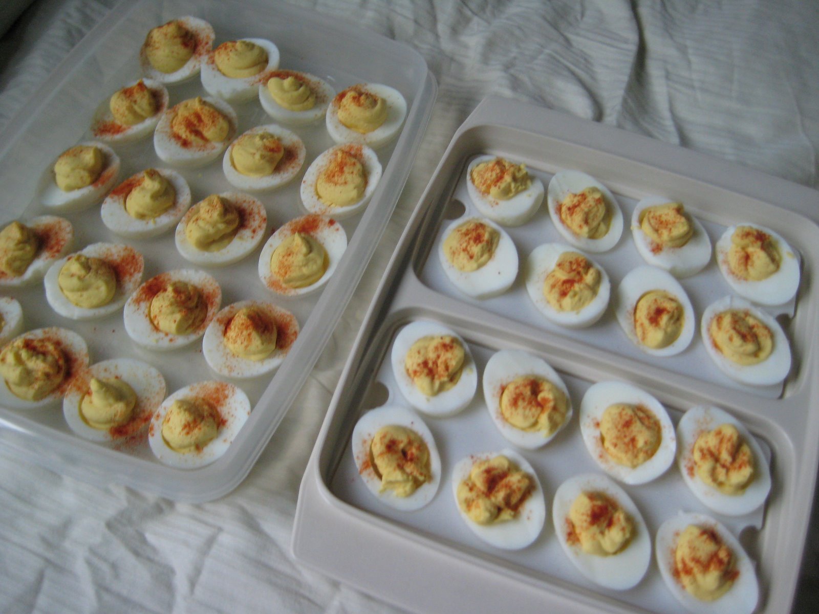 [Eggs3.JPG]
