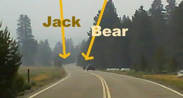 [DR-Jack+and+the+Bear.jpg]