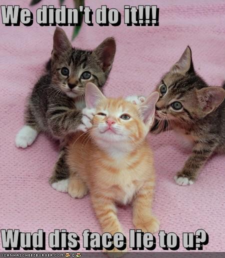 [funny-pictures-kittens-ask-if-this-face-would-lie-to-you.jpg]