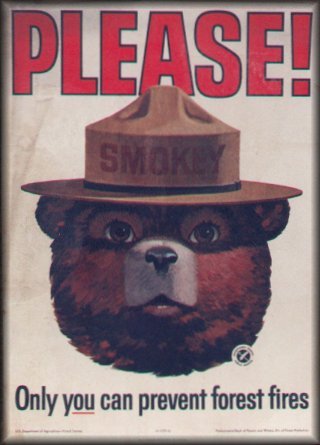 [smokey_bear_ad.jpg]