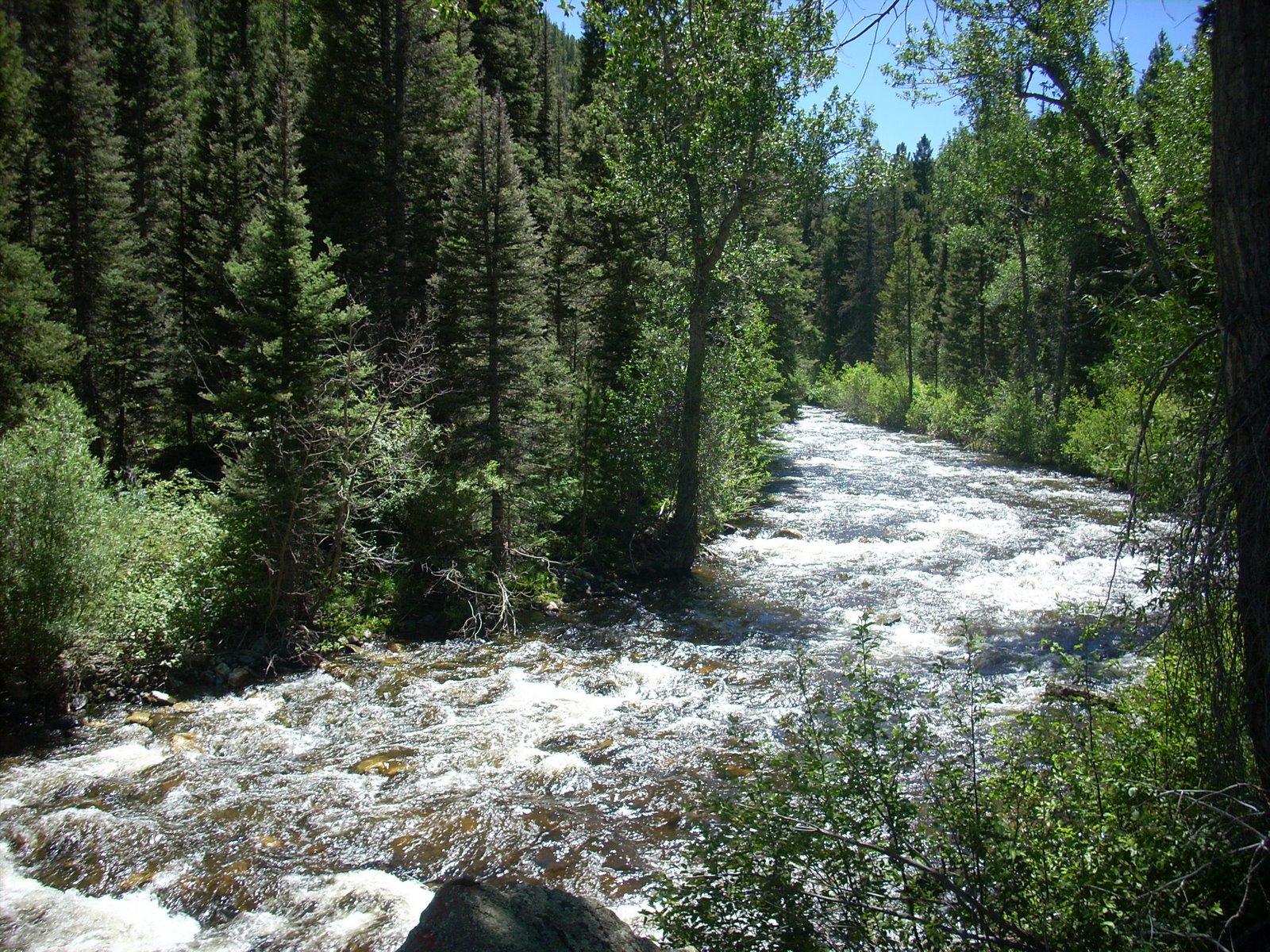 [Rock+Creek+Trail+2008+033.jpg]